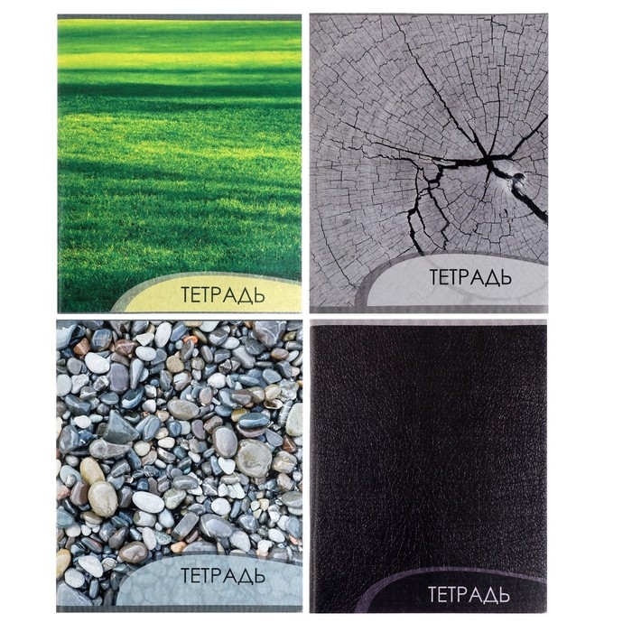 Комплект тетрадей из 4 штук, 96 листов в клетку Calligrata "Металл", обложка мелованный картон, блок офсет