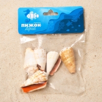 Набор ракушек, "Конус мемиае", 100 г