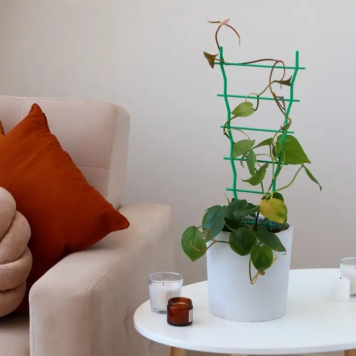 Шпалера, 47&times;19&times;0.5 см, пластик, зелёная