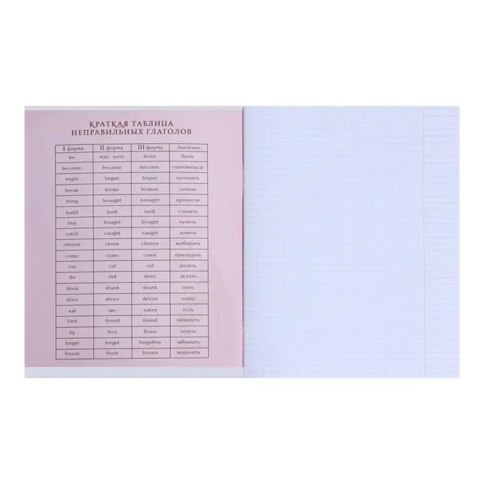 Тетрадь предметная Calligrata &laquo;На Чёрном&raquo;, 48 листов в клетку Английский язык, со справочным материалом, обложка мелованный картон, УФ-лак, блок офсет