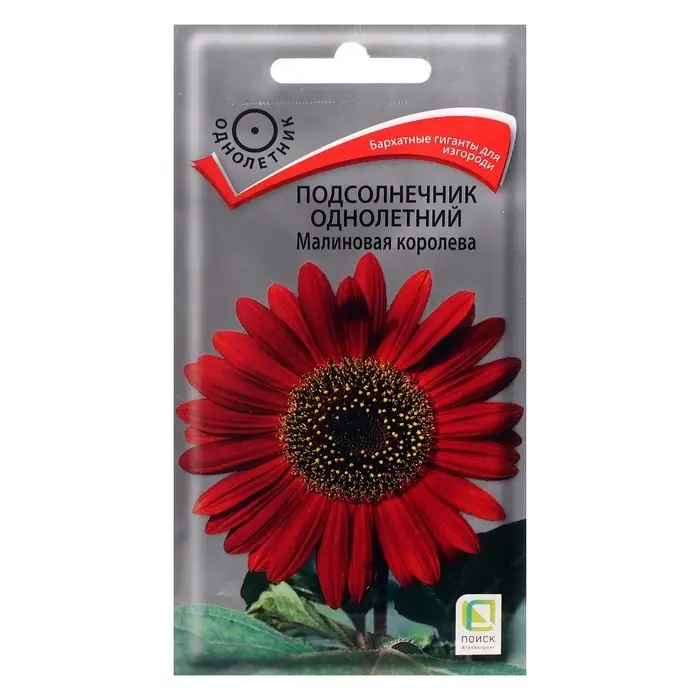 Семена цветов Подсолнечник однолетний "Малиновая королева", 0,5 г