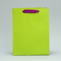 Пакет подарочный двухцветный, упаковка, &laquo;Салатовый-сиреневый&raquo;, MS 18 х 23 х 10 см