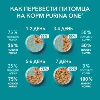 Влажный корм Purinа One для кошек, говядина/морковь, 75 г