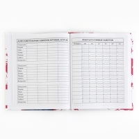 Дневник школьный 5-11 класс, в твердой обложке, 48 л. &laquo;Стиль&raquo;