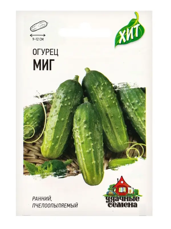 Семена Огурец "Миг", раннеспелый, пчелоопыляемый, 0,3 г  серия ХИТ х3