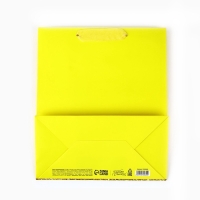 Пакет ламинированный вертикальный &laquo;С Днём рождения&raquo;, глиттер, ML 23 х 27 х 11.5 см