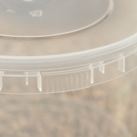 Ведро пластиковое одноразовое с крышкой &laquo;Для солений&raquo;, 2 л, d=17,3 см, прозрачное, 100 шт/уп