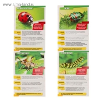 Мини-энциклопедии &laquo;Мир животных&raquo;, 8 шт. по 20 стр.