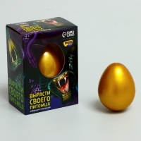 Набор для творчества. Вырасти своего питомца &laquo;Змея&raquo;