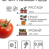Семена Томат "Дубрава", 0,05 г