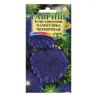 Семена цветов Астра Пампушка черничная, помпонная, О, ц/п, 0,3 г