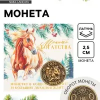 Монета новогодняя сувенирная &laquo;Богатства&raquo; акварель, латунь, диам 2.5см