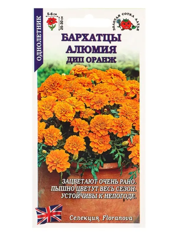 Семена Бархатцы Алюмия Дип оранж F1 /Сотка/ 10шт/ h-25-30см d-6см/*1800