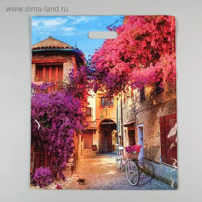 Пакет &laquo;Итальянский дворик&raquo;, полиэтиленовый с вырубной ручкой, 60 мкм, 38&times;45 см