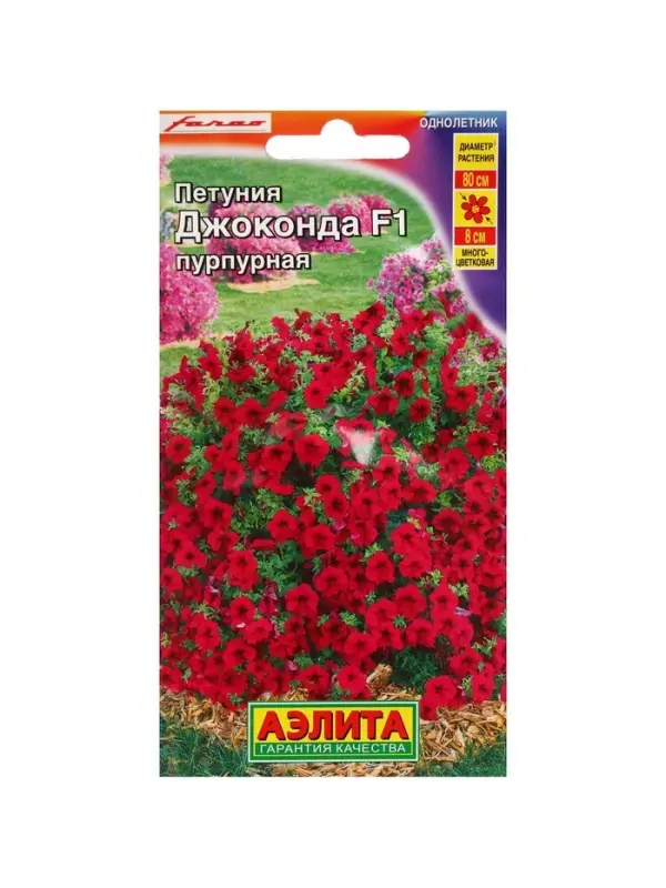 Набор семян Петуния "Джоконда", F1, пурпурная, драже в пробирке, 4 шт.