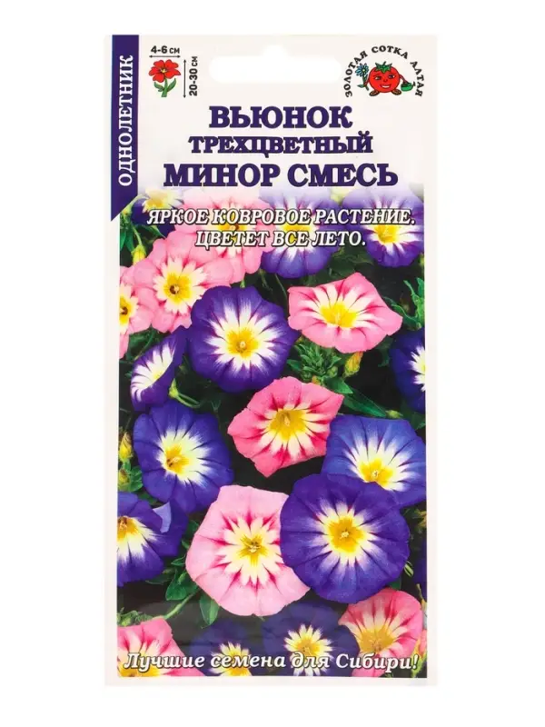 Семена Вьюнок Минор трехцветный /Сотка/ 0,5 г/ 20-30см/ *900