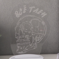 Светильник "Череп. Всё тлен" LED RGB от сети RISALUX 9,5х10,2х14,9 см