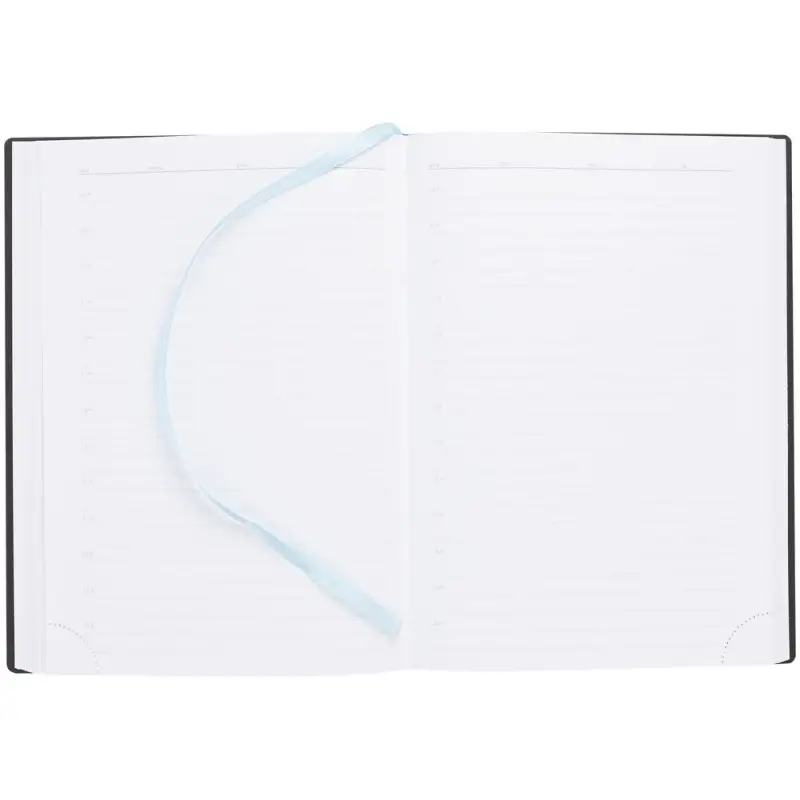 Ежедневник Vivian Metal, недатированный, голубой