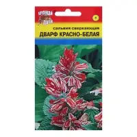 Семена цветов Сальвия "Дварф", Красно-белая, 0,03 г