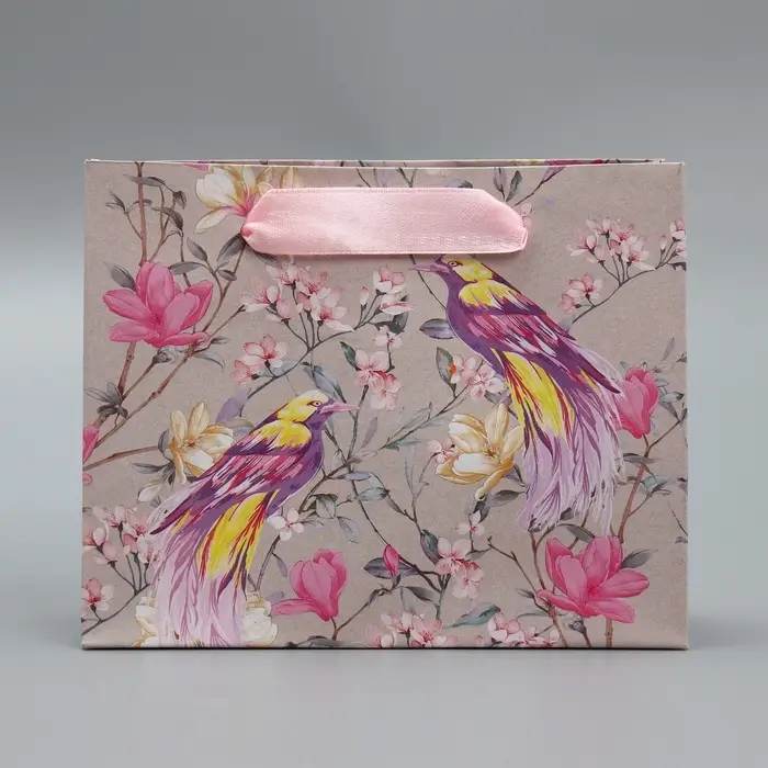 Пакет подарочный крафтовый, упаковка, &laquo;Птицы&raquo;, S 15 х 12 х 5.5 см