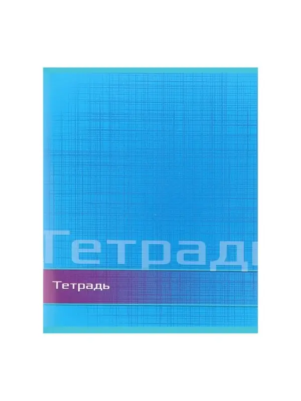Тетрадь 48 листов в линейку Calligrata &laquo;Цвет и графика&raquo;, обложка мелованная бумага, блок №2, белизна 75% (серые листы), МИКС