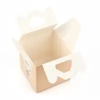 Подарочная коробка, упаковка &laquo;Милый шпиц&raquo; 10&times;10&times;10 см