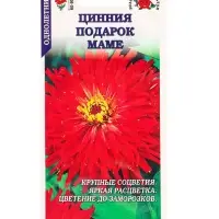 Семена Цинния Подарок маме /Сотка/ 0,2г/ красн. h-90см, d-12см/*1000