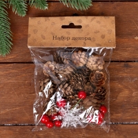 Набор декора &laquo;Ледяная сказка&raquo;