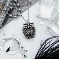Кулон &laquo;Сова круглая&raquo; аrt, цвет серебро чернёное, 44 см