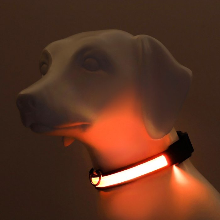 Ошейник с подсветкой Flash 3 режима свечения, размер М, ОШ 40-48 х 2,5 см желтый