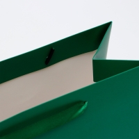 Пакет ламинированный горизонтальный &laquo;Изумрудный&raquo;, ML 27 &times; 23 &times; 11.5 см