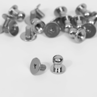 Кобурный винт d = 5/6 &times; 8 мм, 10 шт, цвет серебряный