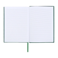 Ежедневник датированный 2024 года, А5, 176 листов, Attomex.Orion, обложка бумвинил, ляссе, блок 70 г/м2, зелёный