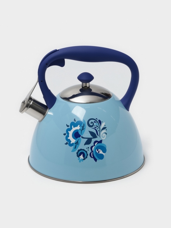 Чайник со свистком из нержавеющей стали Доляна &laquo;Свиристель&raquo;, 3 л, цвет голубой