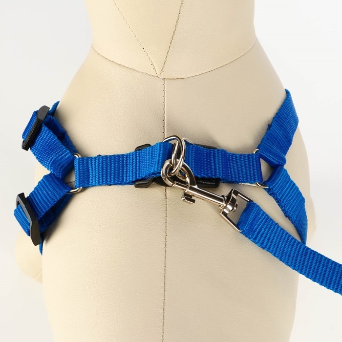 Комплект &laquo;Базис&raquo;, поводок 120&times;1.5 см, шлейка 32-46&times;1.5 см, синий