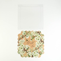 Коробка для печенья, кондитерская упаковка с PVC крышкой, &laquo;Пчёлка&raquo;, 21 х 21 х 3 см