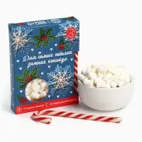 Подарочный набор новогодний &laquo;Для тёплых каникул&raquo;: маршмеллоу, вкус: пломбир 50 г., леденец, вкус: клубника, 15 г.