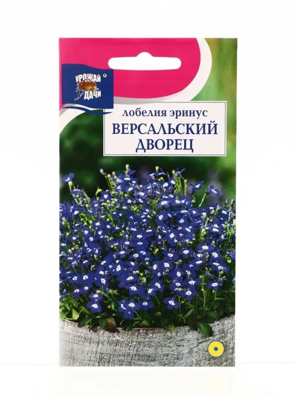 Семена цветов Лобелия низк. Версальский дворец  0,03 г.