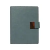 Органайзер на кольцах, А5, с хлястиком, 80л, линия, к/зам, Зеленый