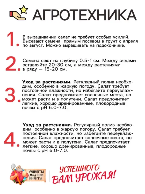 Семена Салат "Кучерявец Одесский", 0,5 г