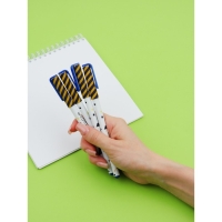 Набор пластиковых ручек "Лучший выпускник школы", синяя паста 0.7 мм, 4 шт