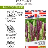 Семена Цветов Агастахе "Йоркшир", смесь сортов, 0,1 г