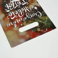 Подарочные пакеты, полиэтилен, набор 10 шт &laquo;Праздник рядом&raquo;