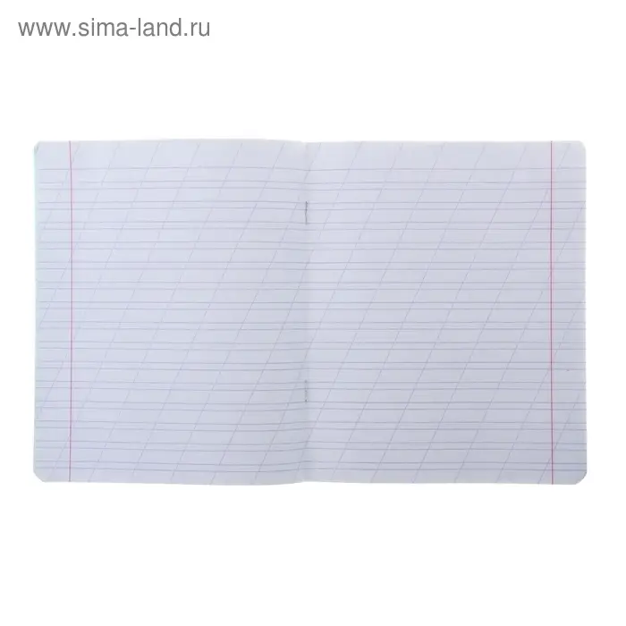 Тетрадь 12 листов в косую линейку &laquo;Зелёная обложка&raquo;, термоупаковка 25 шт.