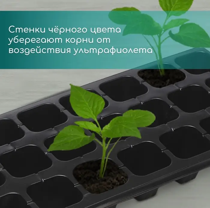 Кассета для рассады, 21 ячейка по 150 мл, пластик, чёрная, 54&times;28&times;7 см, Greengo