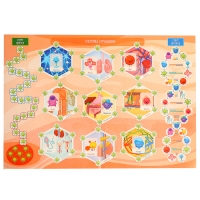 Настольная игра &laquo;Викторина. Как устроен человек?&raquo;, 7-12 лет