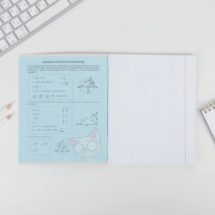 Тетрадь в клетку, предметная, 48 л.,на скрепке, А5 &laquo;ПЕРСОНАЖИ. Геометрия&raquo;