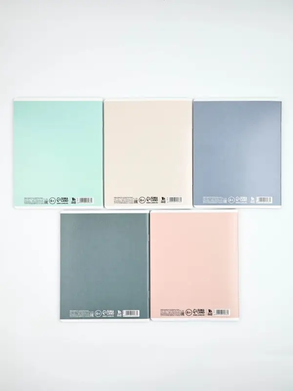 Тетради в клетку, 48 л., набор из 5 шт., блок №1 &laquo;Мечта&raquo;