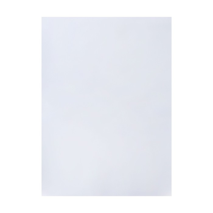 Набор ватманов чертёжных А1, 200 г/м&sup2;, 10 листов