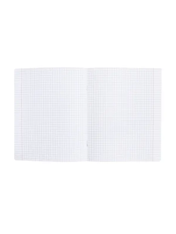 Тетрадь 48 листов в клетку &laquo;Буквица&raquo; БИОЛОГИЯ, обложка мелованный картон, матовая ламинация, тиснение фольгой, с интерактивным справочником, ...